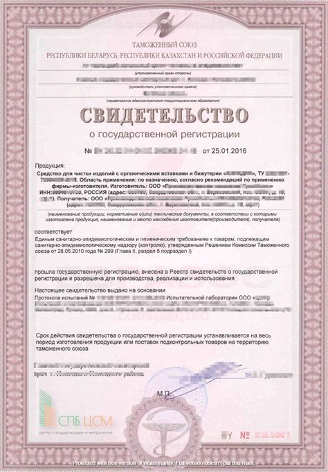 Шаг 4: Проведение государственной регистрации