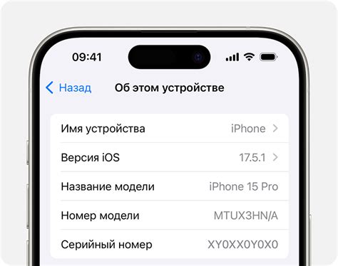 Шаг 5: Установка дополнительного программного обеспечения на iPhone