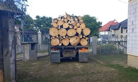Штрафы и уголовная ответственность