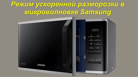Эксплуатационные особенности разморозки в микроволновке DEXP