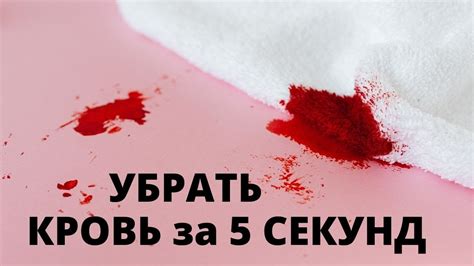 Эффективные способы очистки пиявки от крови: как удалить кровь с пиявки