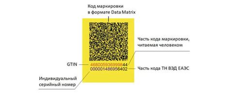  Проверка внешнего вида и маркировки 