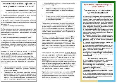  Рекомендации по сохранению здоровья дерева 