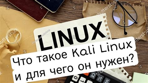  Что такое Kali Linux 