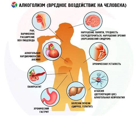 Алкогольные напитки и их влияние на утоление жажды