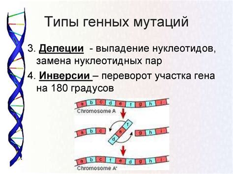 Аллельная нагрузка в мутации гена: понятие и значение