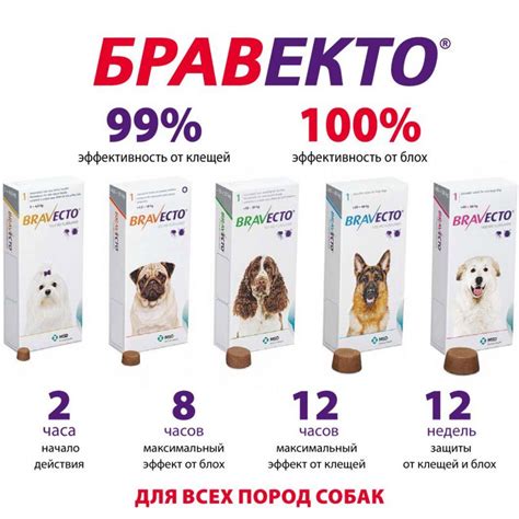 Борьба и контроль над блохами