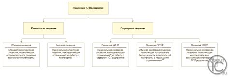 Виды лицензий 1С: платные и бесплатные
