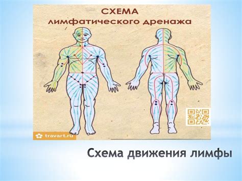 Воздействие сексуальной стимуляции на вибрацию в паху