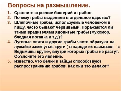 Вопросы на размышление