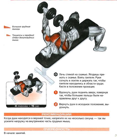 Гантели на вытянутых руках: тренировка для качественного накачивания мышц