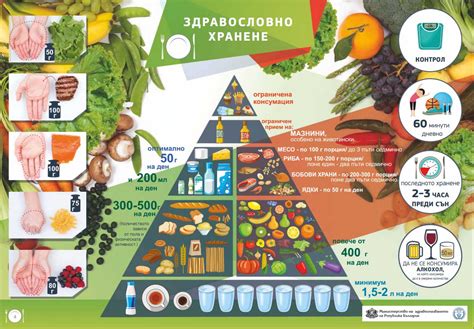 Диета и режим переедавшей коровы
