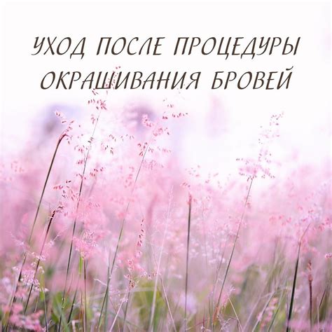 Желание вернуться к привычной рутине