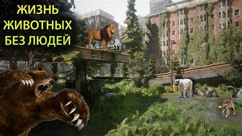 Жизнь Шарика после исчезновения