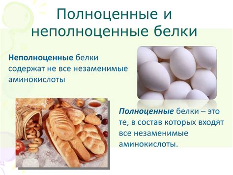 Значение белка в питании