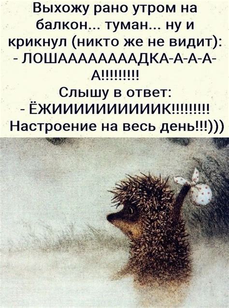 Значение ежика в статусе ВКонтакте