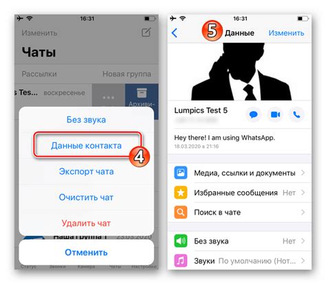 Значки WhatsApp на фото контакта