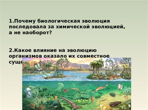 Как аллельная нагрузка влияет на эволюцию организмов