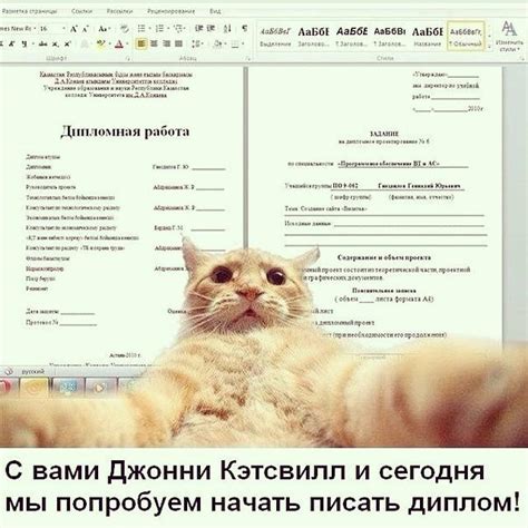Как узнать, что делать, если вашего диплома нет в реестре