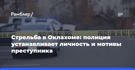 Мотивы преступника