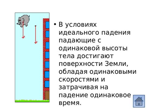 Мыши падающие с потолка: вероятные толкования