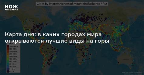 Наиболее распространенные виды в городах