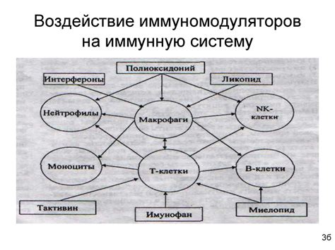 Негативное воздействие на иммунную систему
