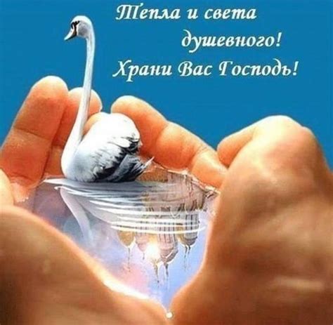 Нехватка удовлетворения и душевного покоя