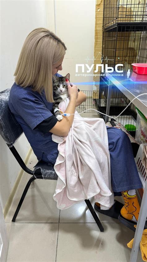 Обратиться к ветеринарному специалисту для консультации