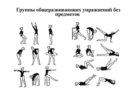 Основные элементы силового комплекса упражнений для сотрудников МВД
