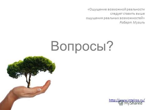 Ощущение громадных возможностей