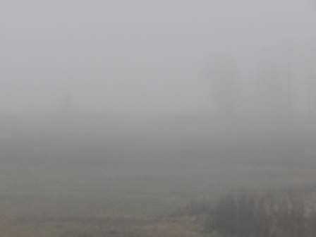 Появится дисбаланс в природе