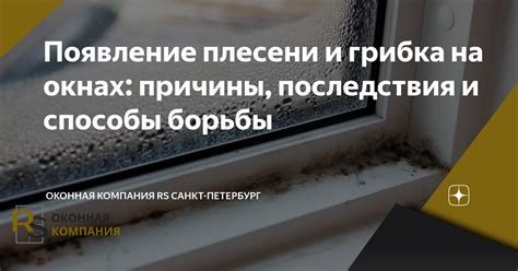 Появление плесени на вяленой рыбе: причины и последствия