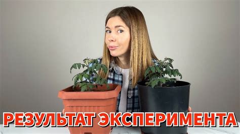 Преимущества и недостатки использования биогумуса