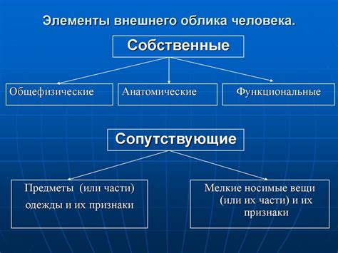 Признаки внешнего облика джина