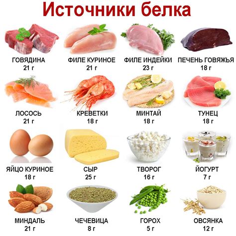 Продукты, богатые белком