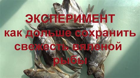Профессиональные способы очистки вяленой рыбы