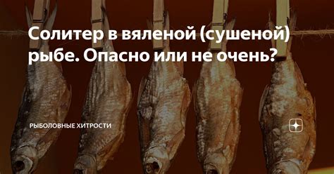 Профилактика появления плесени на вяленой рыбе