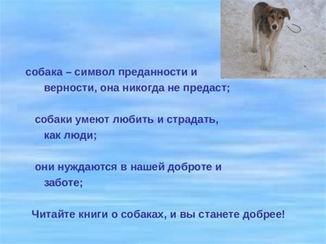 Разбор сновидения: собака как символ верности, преданности и защиты