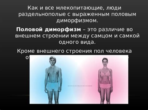 Различие внешнего вида
