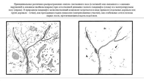 Различия в региональном распространении