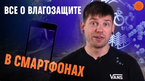 Раскрытие тайны исчезновения Шарика