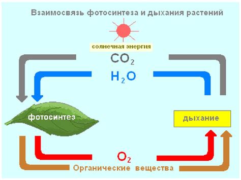 Реакция на физические свойства растений