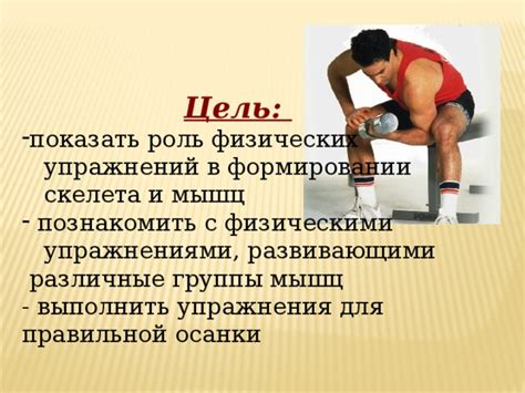Роль мышц в формировании ложбинки