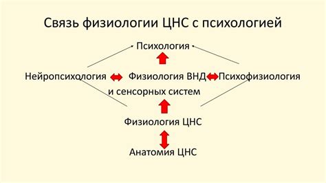 Связь с цветовой психологией