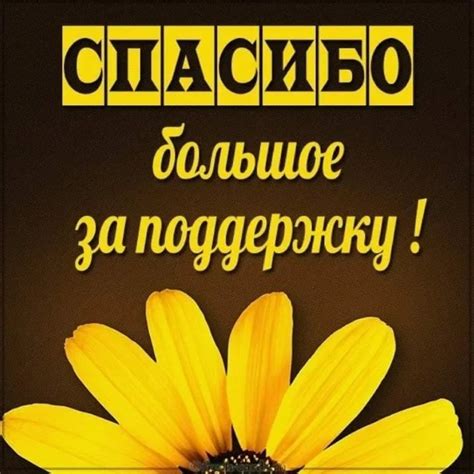 Спасибо за поддержку и понимание