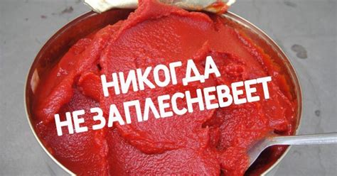 Срок годности томатной пасты