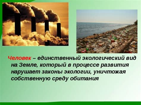 Строительство нарушает их привычную среду обитания