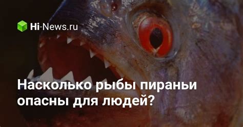 Толкование сновидения: насколько живые пираньи опасны