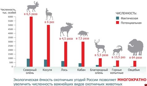 Увеличится число охотников